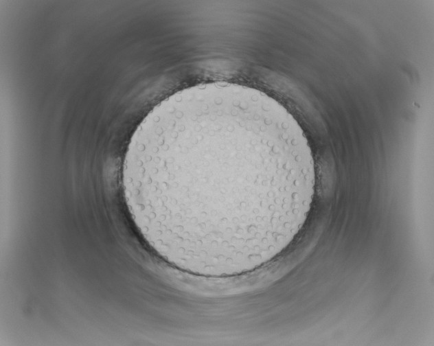 X0000110680034200907241052