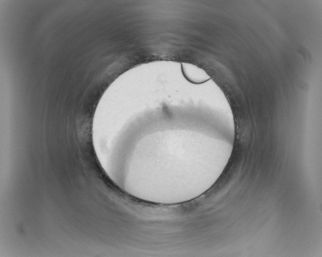 X0000110680036200907241052