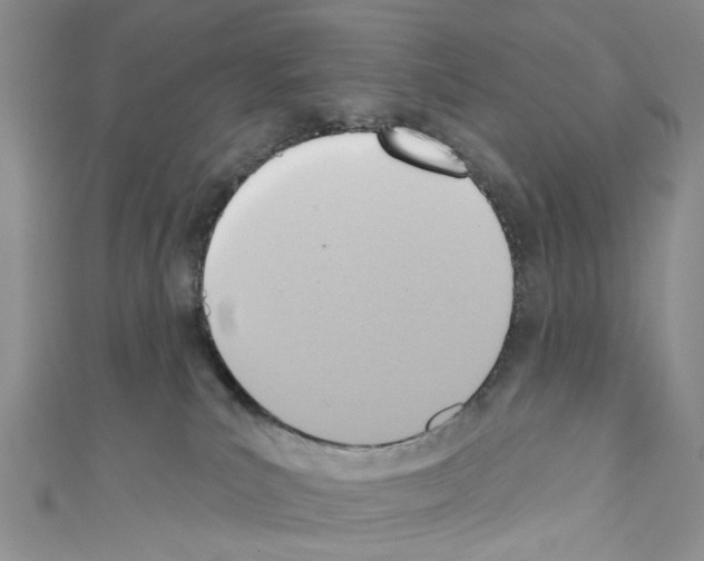X0000110680039200907241052