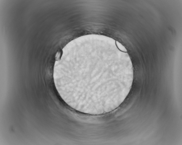 X0000110680040200907241052