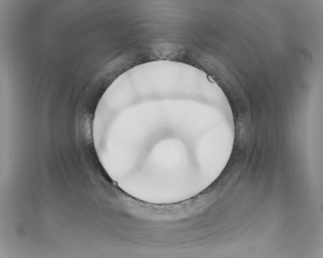 X0000110680042200907241052