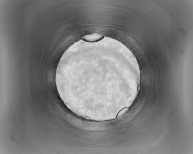 X0000110680044200907241052