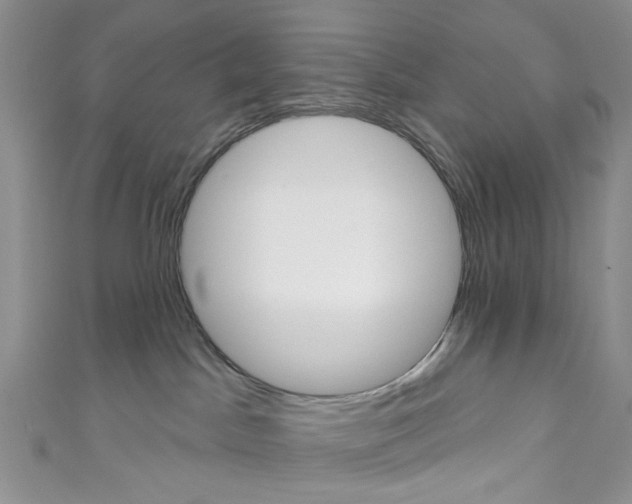 X0000110680045200907241052