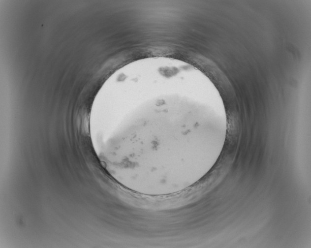 X0000110680046200907241052