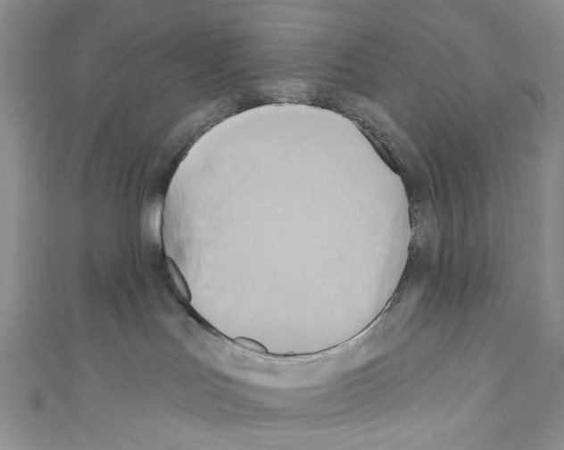 X0000110680047200907241052