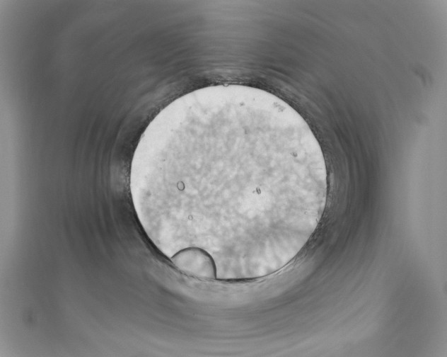X0000110680048200907241052