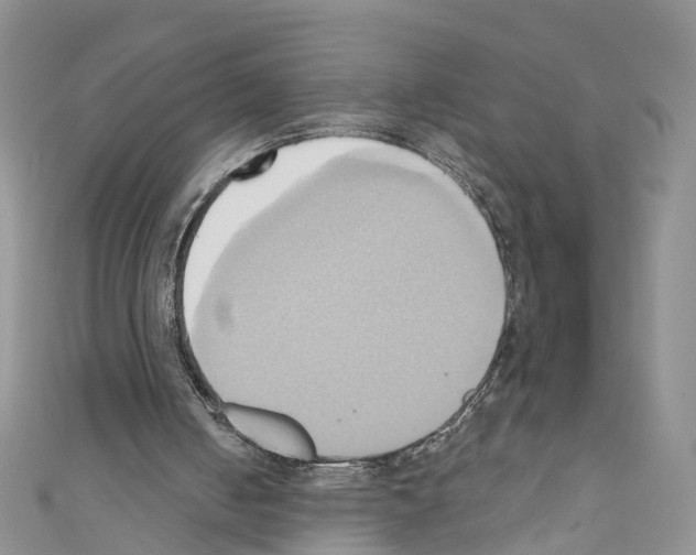 X0000110680050200907241051