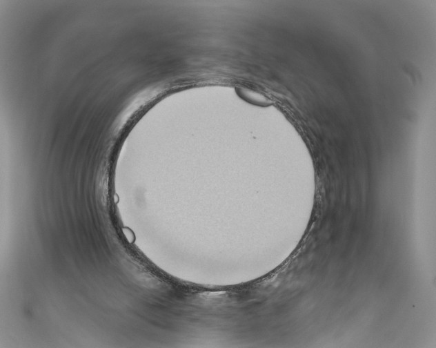 X0000110680054200907241051