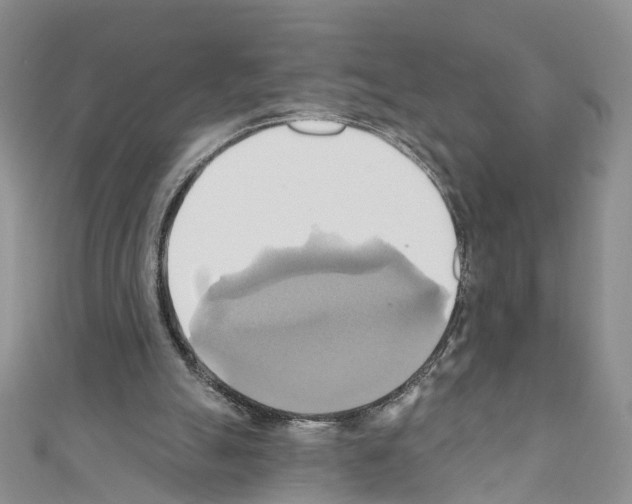 X0000110680055200907241051