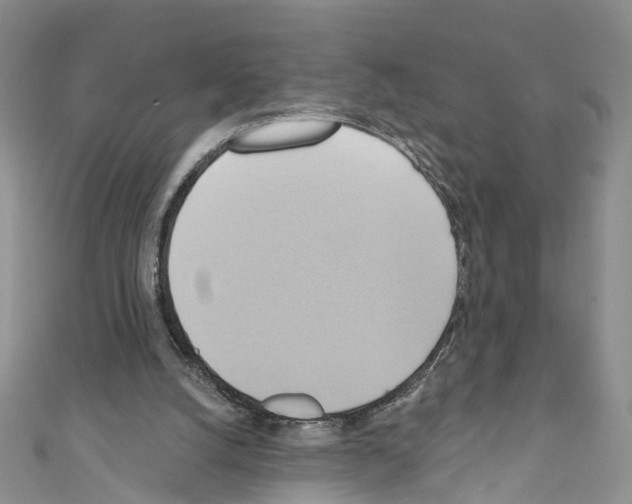 X0000110680056200907241051