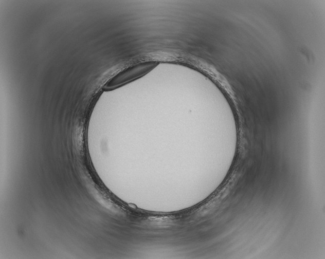 X0000110680057200907241051