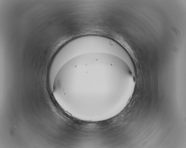 X0000110680058200907241051