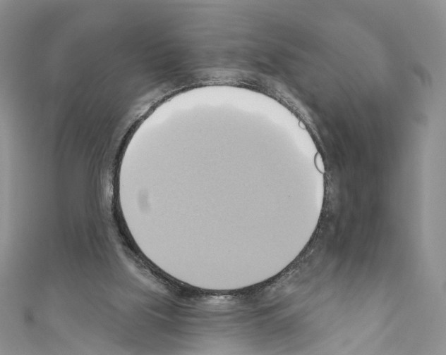 X0000110680059200907241051