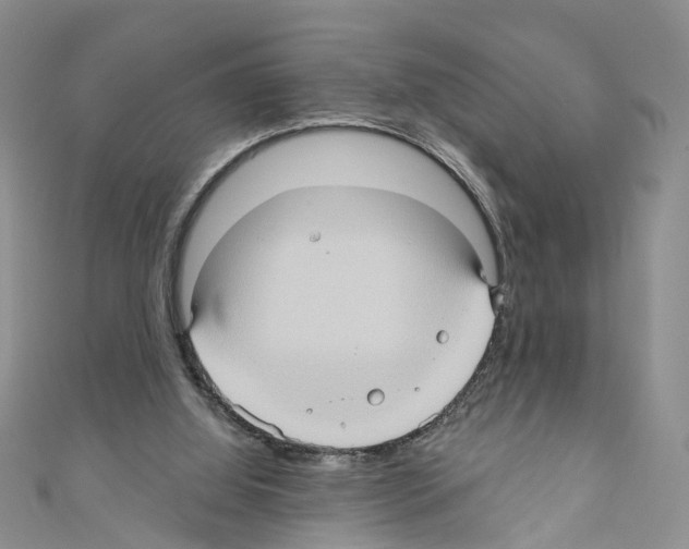 X0000110680060200907241051