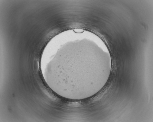 X0000110680061200907241051