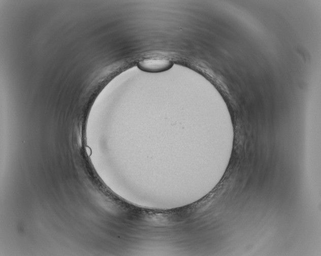 X0000110680062200907241052