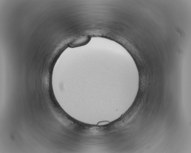 X0000110680064200907241052