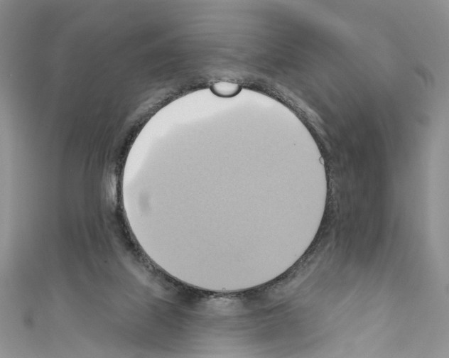 X0000110680067200907241052