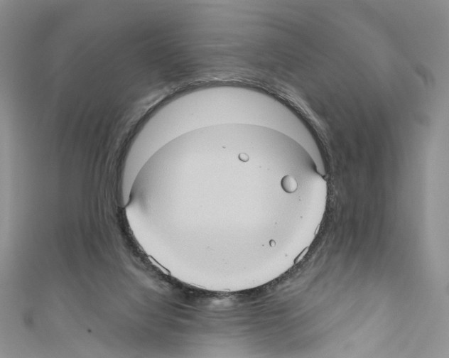 X0000110680068200907241052