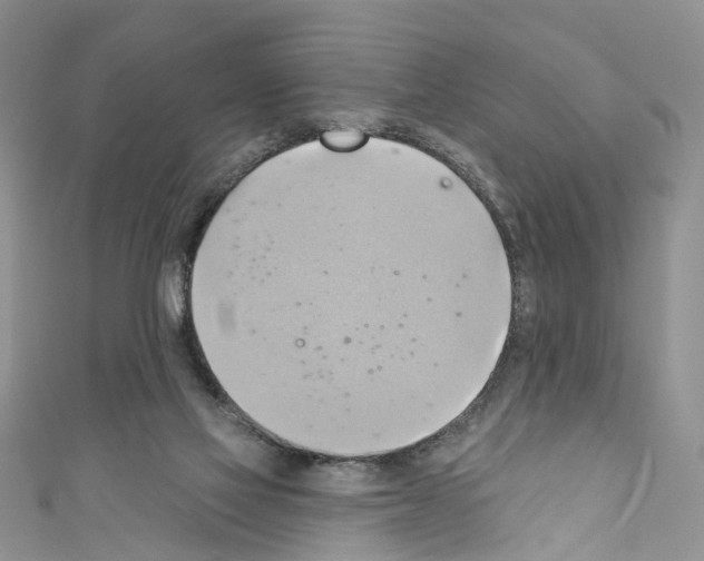 X0000110680069200907241052