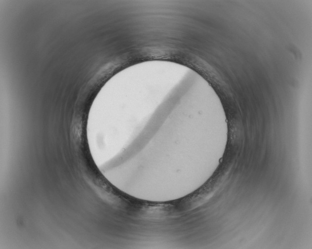 X0000110680072200907241052