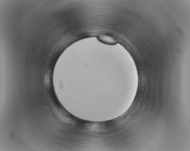 X0000110680074200907241052