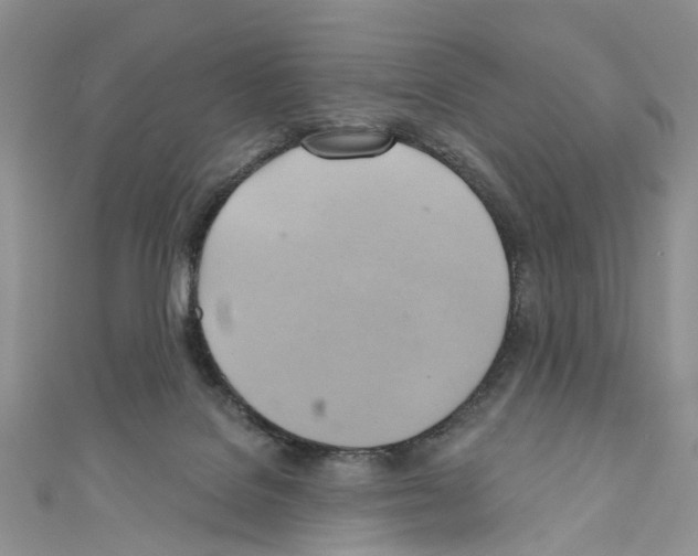 X0000110680076200907241052