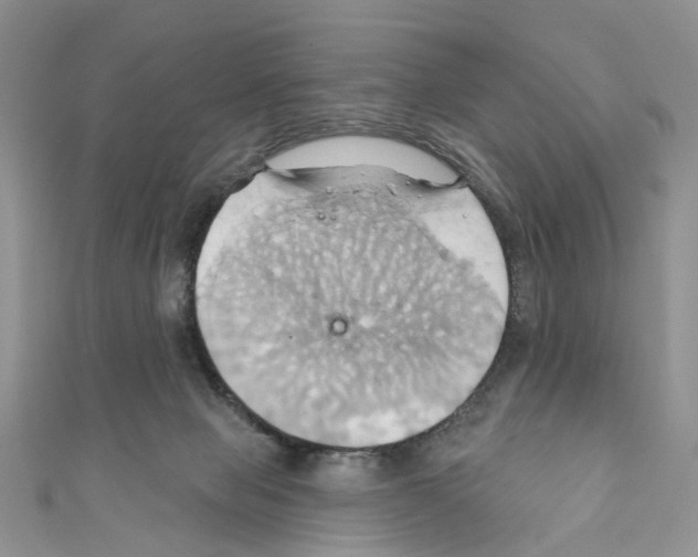 X0000110680077200907241052
