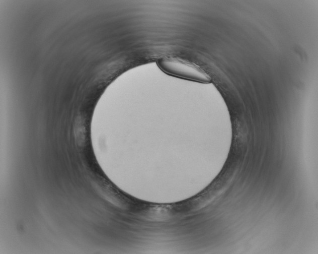 X0000110680080200907241052