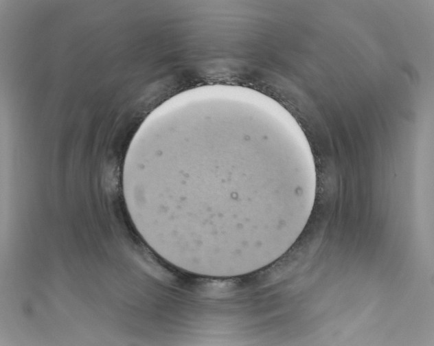 X0000110680081200907241052