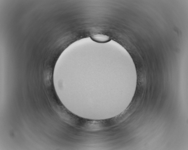 X0000110680082200907241052