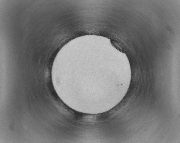 X0000110680084200907241052