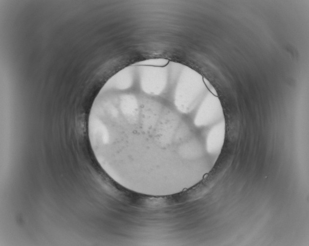 X0000110680085200907241052