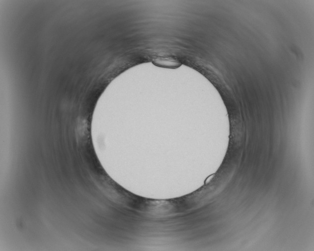 X0000110680087200907241052
