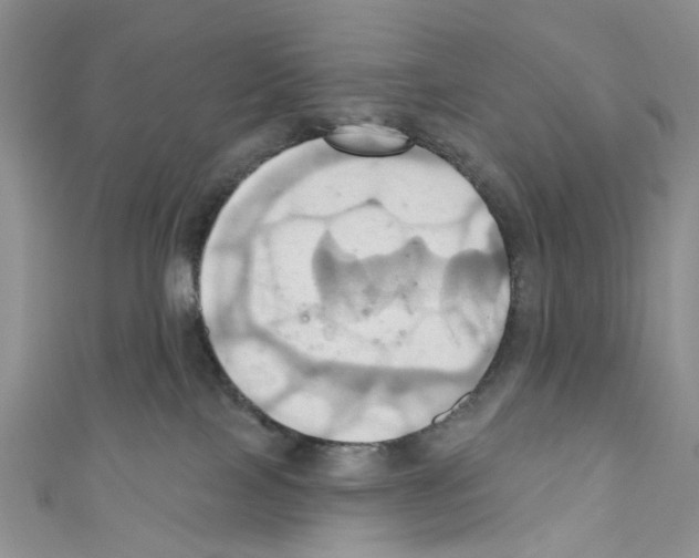 X0000110680089200907241052