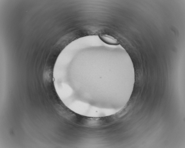 X0000110680090200907241052