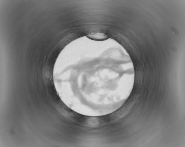 X0000110680091200907241052