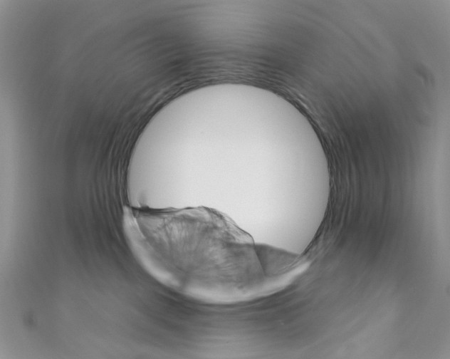 X0000110680093200907241052