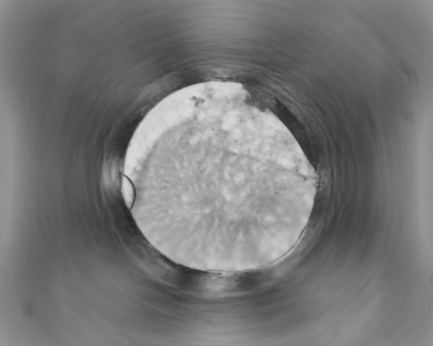 X0000110680094200907241052