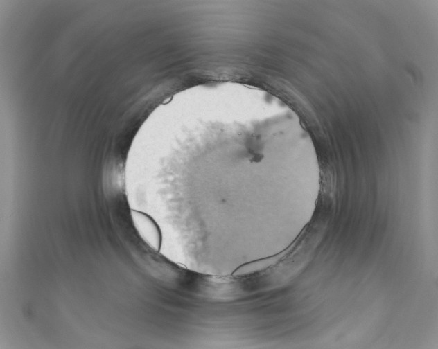 X0000110680095200907241052