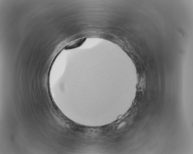 X0000110680099200907241051