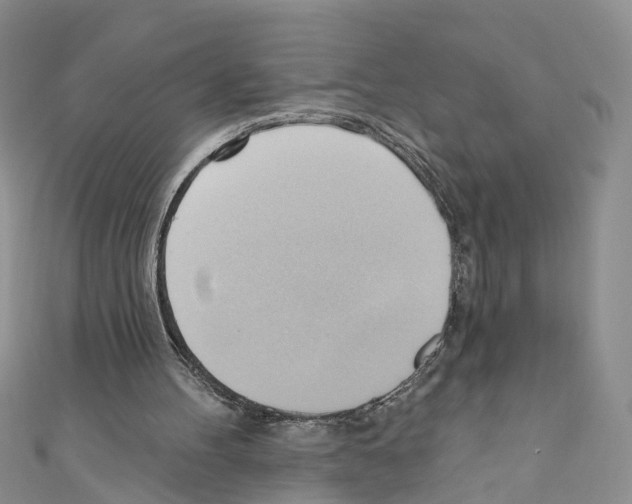 X0000110680100200907241051