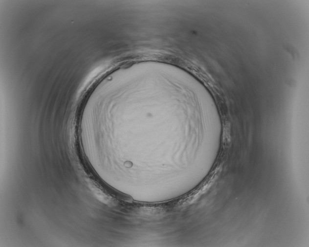 X0000110680101200907241051