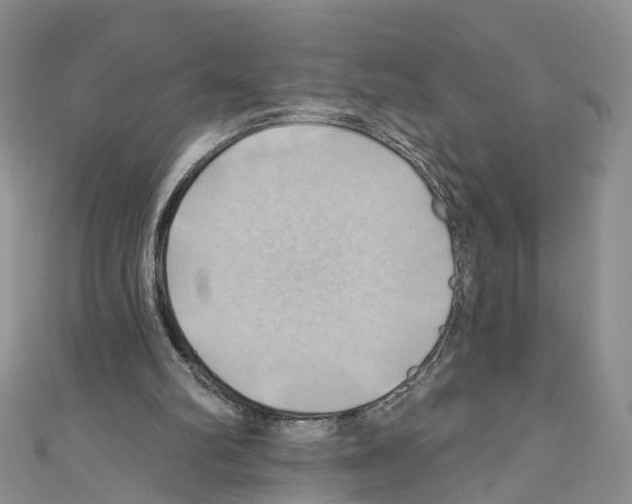 X0000110680102200907241051
