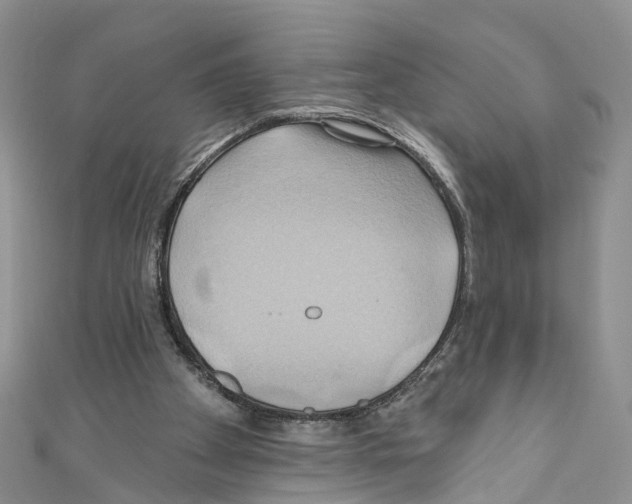 X0000110680105200907241051
