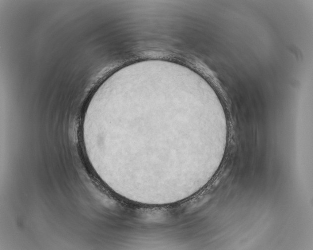 X0000110680106200907241051