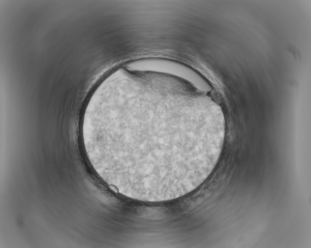 X0000110680107200907241051