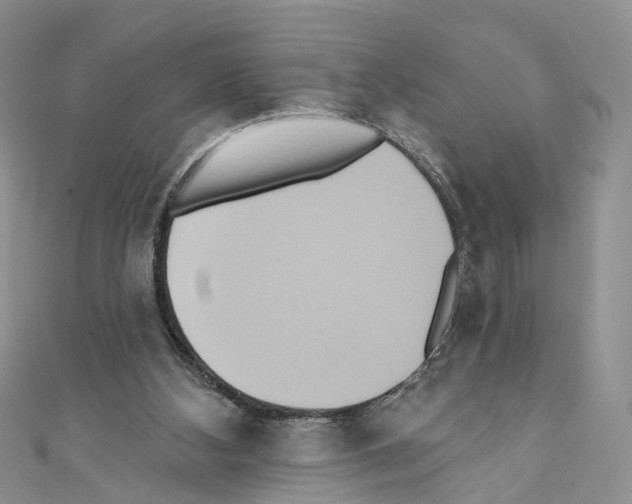 X0000110680108200907241051