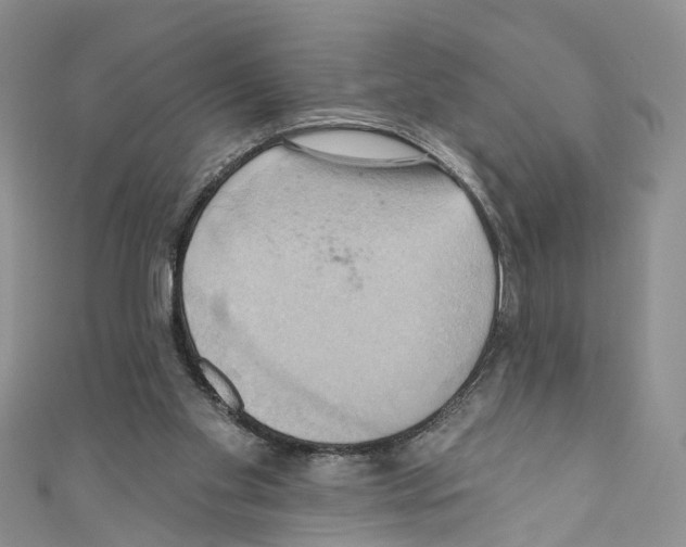 X0000110680109200907241051