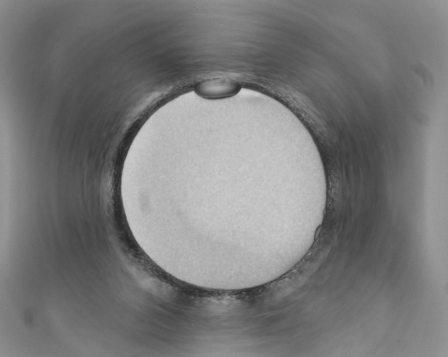 X0000110680112200907241051